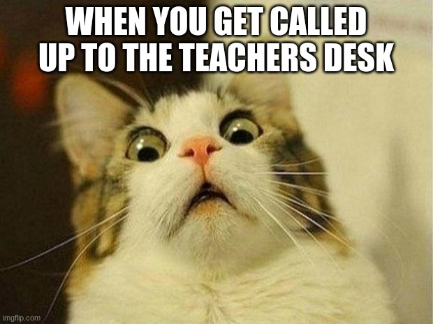 cat scared | WHEN YOU GET CALLED UP TO THE TEACHERS DESK | image tagged in memes,scared cat | made w/ Imgflip meme maker