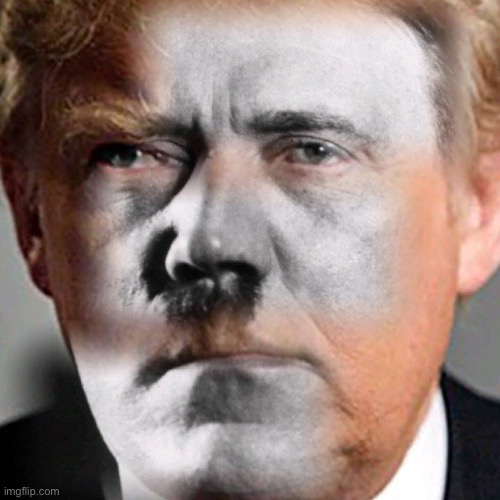 Is Trump a Nazi? People are saying! (But actually: yes) | image tagged in hitler trump nazi,hitler,adolf hitler,donald trump,nazi,trump | made w/ Imgflip meme maker