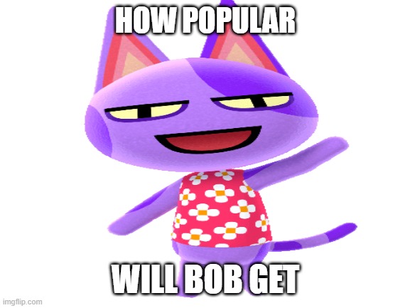 bob | HOW POPULAR; WILL BOB GET | image tagged in bob | made w/ Imgflip meme maker