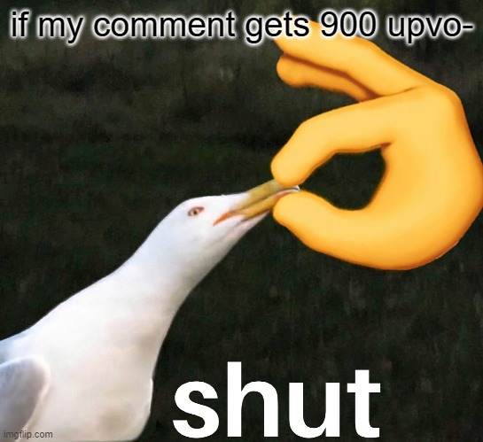 bird SHUT | if my comment gets 900 upvo- | image tagged in bird shut | made w/ Imgflip meme maker