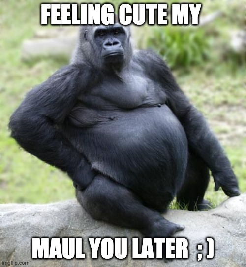 Sexy gorilla | FEELING CUTE MY; MAUL YOU LATER  ; ) | image tagged in sexy gorilla | made w/ Imgflip meme maker