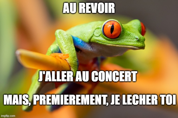 Froggy | AU REVOIR; J'ALLER AU CONCERT; MAIS, PREMIEREMENT, JE LECHER TOI | image tagged in froggy | made w/ Imgflip meme maker