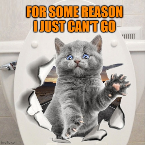 Didn't expect to see that | FOR SOME REASON I JUST CAN'T GO | image tagged in cats,funny,funny cats,toilet humor,toilet,bathroom | made w/ Imgflip meme maker