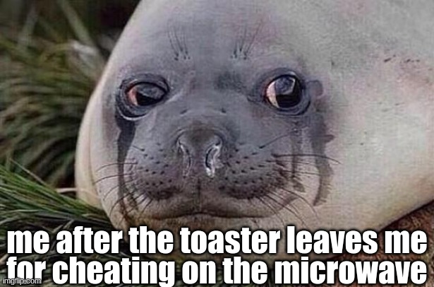 Sad Seal | for cheating on the microwave; me after the toaster leaves me | image tagged in sad seal | made w/ Imgflip meme maker