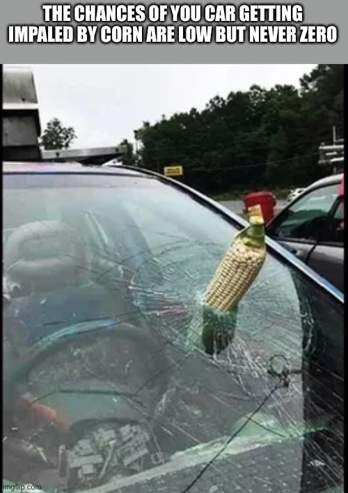 THE CHANCES OF YOU CAR GETTING IMPALED BY CORN ARE LOW BUT NEVER ZERO | made w/ Imgflip meme maker