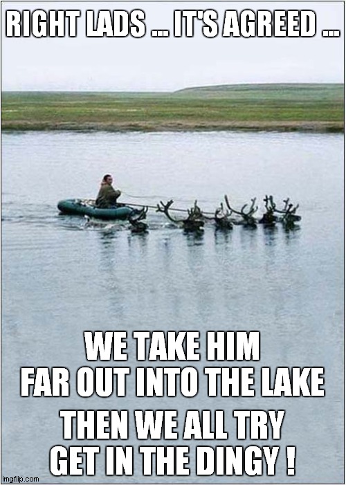 Reindeer Revenge ! | RIGHT LADS ... IT'S AGREED ... WE TAKE HIM FAR OUT INTO THE LAKE; THEN WE ALL TRY GET IN THE DINGY ! | image tagged in fun,reindeer,drowning,frontpage | made w/ Imgflip meme maker