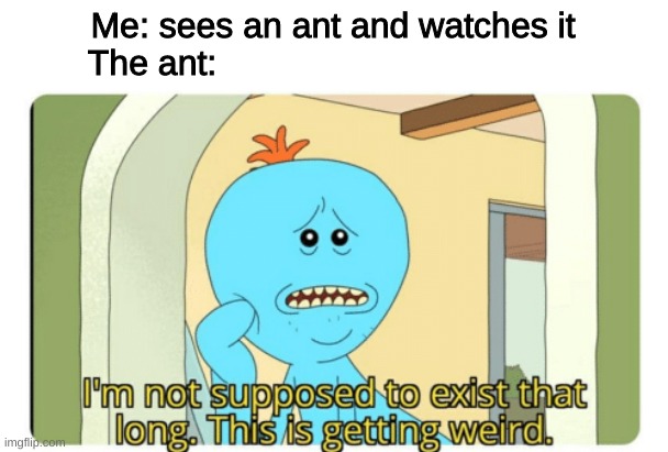 Stepping on ants | Me: sees an ant and watches it
The ant: | image tagged in i'm not supposed to exist that long this is getting weird | made w/ Imgflip meme maker