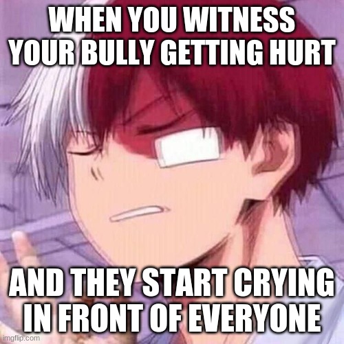 Todoroki | WHEN YOU WITNESS YOUR BULLY GETTING HURT; AND THEY START CRYING IN FRONT OF EVERYONE | image tagged in todoroki | made w/ Imgflip meme maker