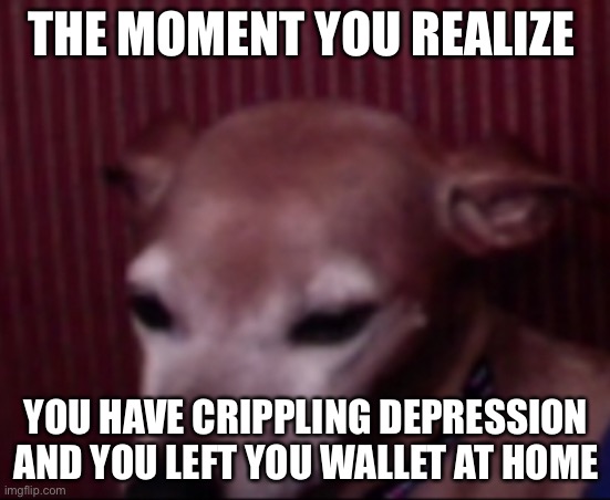 You realize | THE MOMENT YOU REALIZE; YOU HAVE CRIPPLING DEPRESSION AND YOU LEFT YOU WALLET AT HOME | image tagged in life | made w/ Imgflip meme maker