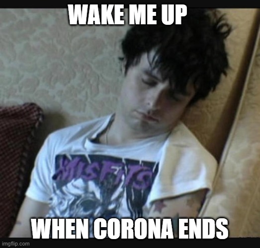 Wake me up | WAKE ME UP; WHEN CORONA ENDS | image tagged in coronavirus,over it,wake me up | made w/ Imgflip meme maker
