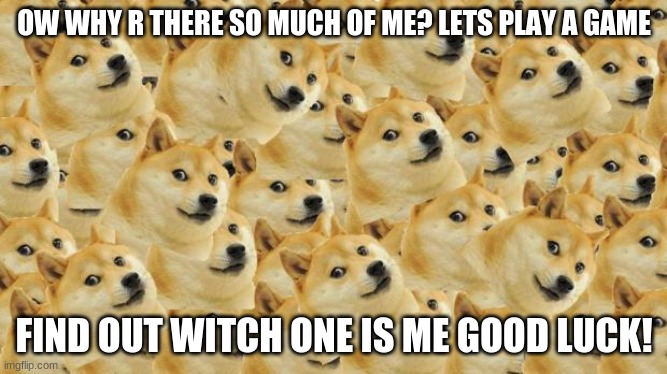 Multi Doge Meme | OW WHY R THERE SO MUCH OF ME? LETS PLAY A GAME; FIND OUT WITCH ONE IS ME GOOD LUCK! | image tagged in memes,multi doge | made w/ Imgflip meme maker