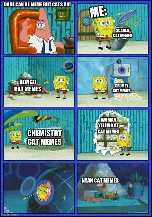 WIthout Cats, We wouldn't had YouTube as a platform | DOGE CAN BE MEME BUT CATS NO! ME:; SCARED CAT MEMES; BONGO CAT MEMES; GRUMPY CAT MEMES; WOMAN YELLING AT CAT MEMES; CHEMISTRY CAT MEMES; NYAN CAT MEMES | image tagged in spongebob meme,cats,memes cat | made w/ Imgflip meme maker