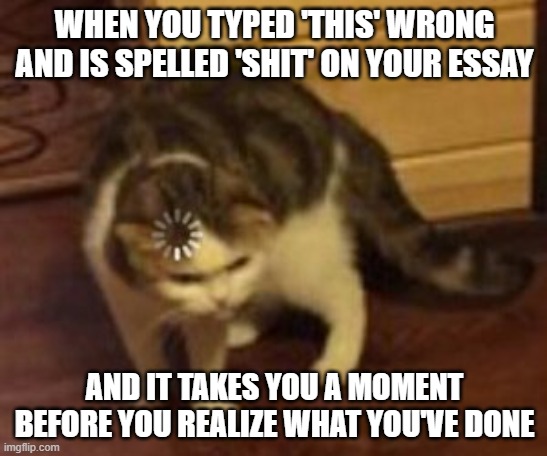 Loading cat | WHEN YOU TYPED 'THIS' WRONG AND IS SPELLED 'SHIT' ON YOUR ESSAY; AND IT TAKES YOU A MOMENT BEFORE YOU REALIZE WHAT YOU'VE DONE | image tagged in loading cat | made w/ Imgflip meme maker