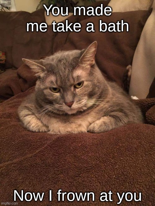 Make him take a bath, he frown at you | You made me take a bath; Now I frown at you | image tagged in fat cat mad | made w/ Imgflip meme maker