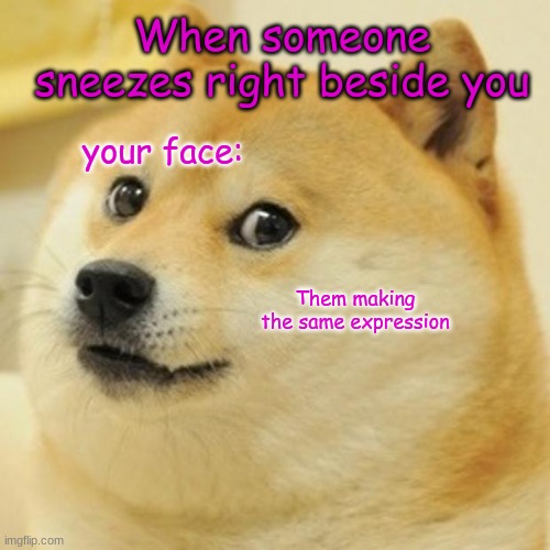 Doge Meme | When someone sneezes right beside you; your face:; Them making the same expression | image tagged in memes,doge | made w/ Imgflip meme maker