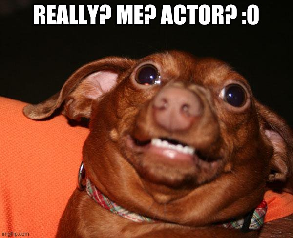 Guys Im Sorry | REALLY? ME? ACTOR? :0 | image tagged in guys im sorry | made w/ Imgflip meme maker