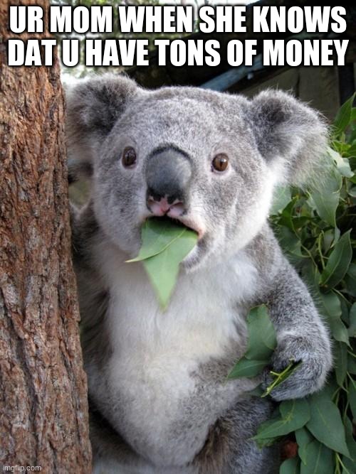 lol | UR MOM WHEN SHE KNOWS DAT U HAVE TONS OF MONEY | image tagged in memes,surprised koala | made w/ Imgflip meme maker