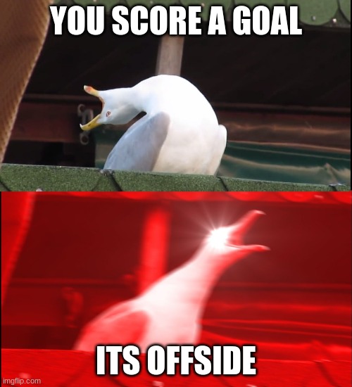 Disappointment | YOU SCORE A GOAL; ITS OFFSIDE | image tagged in screaming bird,disappointment | made w/ Imgflip meme maker