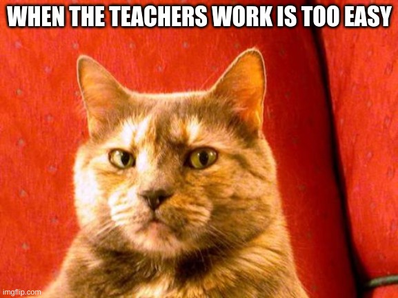 Suspicious Cat |  WHEN THE TEACHERS WORK IS TOO EASY | image tagged in memes,suspicious cat | made w/ Imgflip meme maker
