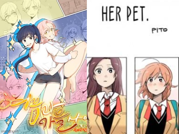 Yuri Recommendations Pt. 1Left: Between Summer And FallRight: Her Pet(Mainly fluff and a bit of angst) | image tagged in yuri,manhwa,recommendations | made w/ Imgflip meme maker