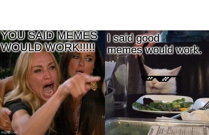 Woman Yelling At Cat | YOU SAID MEMES WOULD WORK!!!!! I said good memes would work. | image tagged in memes,woman yelling at cat | made w/ Imgflip meme maker