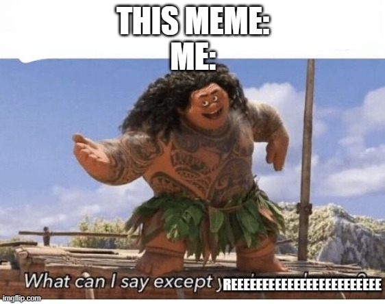 What can I say except you're welcome? | THIS MEME:
ME: REEEEEEEEEEEEEEEEEEEEEEEE | image tagged in what can i say except you're welcome | made w/ Imgflip meme maker
