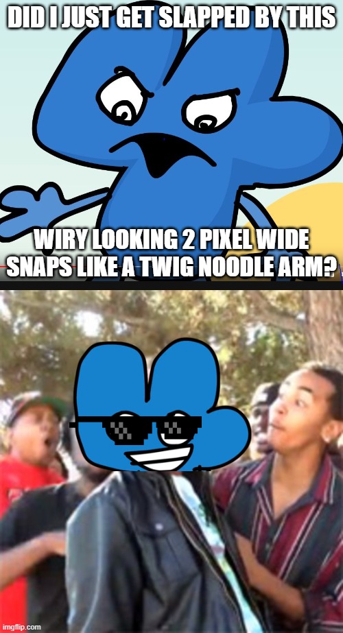 four roasts gelitain | DID I JUST GET SLAPPED BY THIS; WIRY LOOKING 2 PIXEL WIDE SNAPS LIKE A TWIG NOODLE ARM? | image tagged in you did bfb while i was gone,black boy roast | made w/ Imgflip meme maker