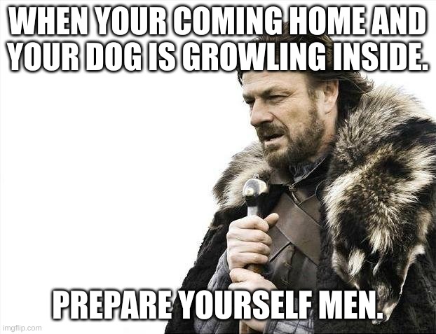 dog | WHEN YOUR COMING HOME AND YOUR DOG IS GROWLING INSIDE. PREPARE YOURSELF MEN. | image tagged in memes,brace yourselves x is coming | made w/ Imgflip meme maker