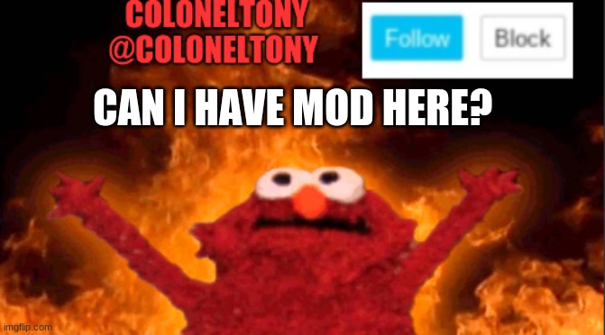 CAN I HAVE MOD HERE? | image tagged in coloneltony anocument 2 | made w/ Imgflip meme maker