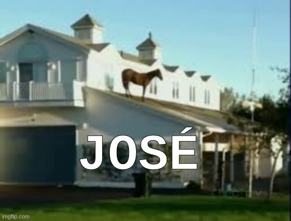 you've seen juan, now get ready for | JOSÉ | image tagged in juan,memes,horse,hehe,stop reading the tags,out of ideas | made w/ Imgflip meme maker