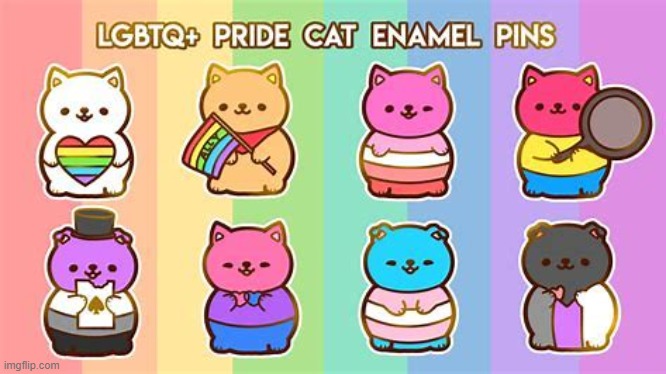 I found da kitties | made w/ Imgflip meme maker