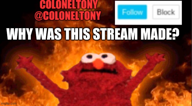 WHY WAS THIS STREAM MADE? | image tagged in coloneltony anocument 2 | made w/ Imgflip meme maker