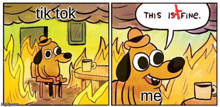 This Is Fine | tik tok; me | image tagged in memes,this is fine | made w/ Imgflip meme maker