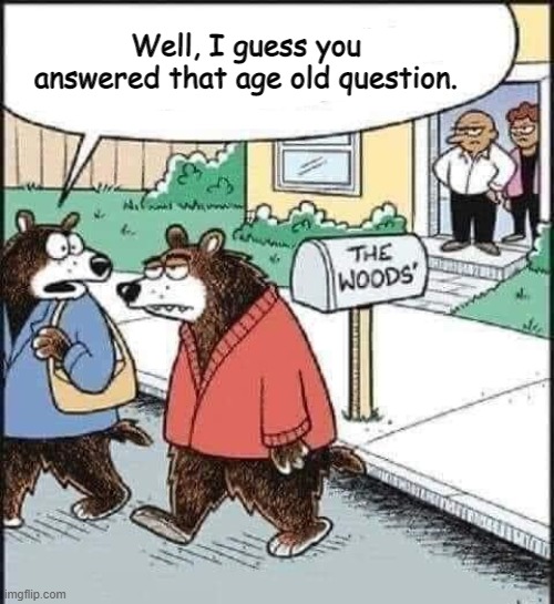 Does a bear.. in the woods? Imgflip