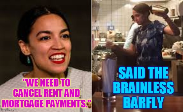 "WE NEED TO CANCEL RENT AND MORTGAGE PAYMENTS."; SAID THE
BRAINLESS
BARFLY | made w/ Imgflip meme maker