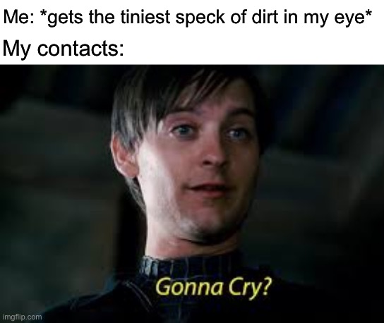 RGP lenses though |  Me: *gets the tiniest speck of dirt in my eye*; My contacts: | image tagged in gonna cry,eye contact,contacts,funny,eyes | made w/ Imgflip meme maker