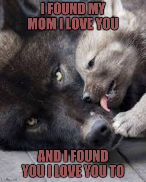 found kid | I FOUND MY MOM I LOVE YOU; AND I FOUND YOU I LOVE YOU TO | image tagged in found | made w/ Imgflip meme maker