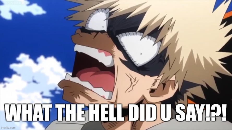 What the Hell Did U Say | WHAT THE HELL DID U SAY!?! | image tagged in my hero academia | made w/ Imgflip meme maker