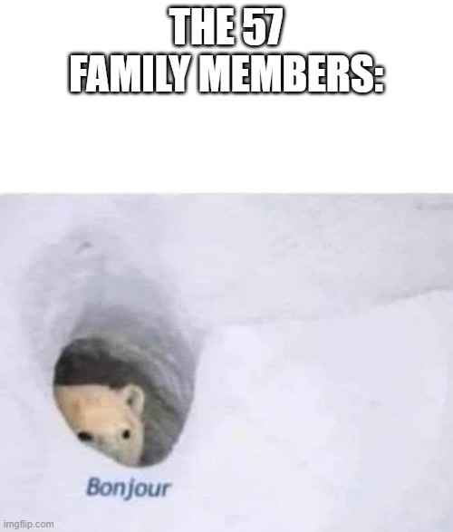 Bonjour | THE 57 FAMILY MEMBERS: | image tagged in bonjour | made w/ Imgflip meme maker
