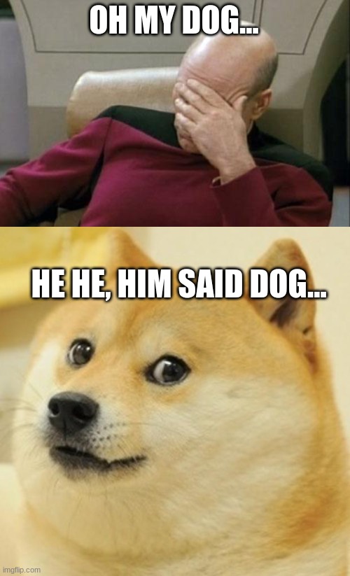 He he him dog | OH MY DOG... HE HE, HIM SAID DOG... | image tagged in memes,captain picard facepalm,doge | made w/ Imgflip meme maker