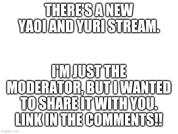 !!Link in the comments!! | THERE'S A NEW YAOI AND YURI STREAM. I'M JUST THE MODERATOR, BUT I WANTED TO SHARE IT WITH YOU. LINK IN THE COMMENTS!! | image tagged in blank white template,new stream,yaoi,yuri,streams,stream | made w/ Imgflip meme maker