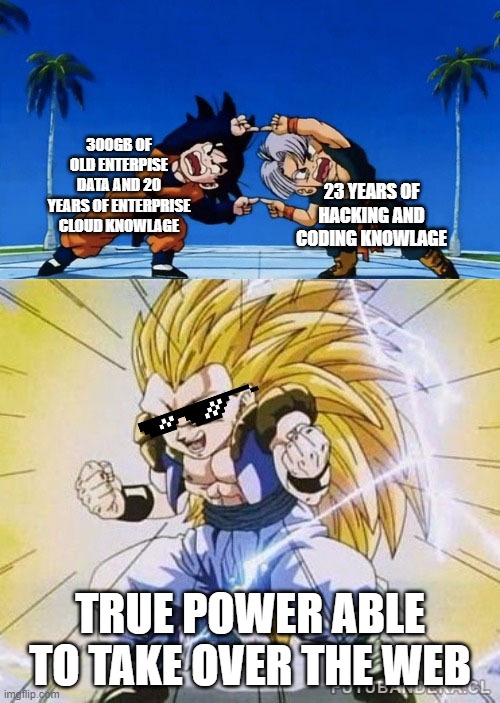 True power | 300GB OF OLD ENTERPISE DATA AND 20 YEARS OF ENTERPRISE CLOUD KNOWLAGE; 23 YEARS OF HACKING AND CODING KNOWLAGE; TRUE POWER ABLE TO TAKE OVER THE WEB | image tagged in dbz fusion | made w/ Imgflip meme maker