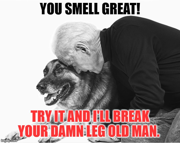 Sniff This. | YOU SMELL GREAT! TRY IT AND I'LL BREAK YOUR DAMN LEG OLD MAN. | image tagged in biden,creepy joe biden,trump,election 2020,election fraud | made w/ Imgflip meme maker