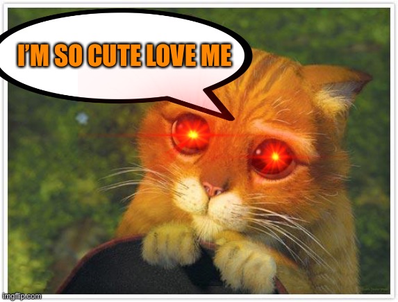 Shrek Cat | I’M SO CUTE LOVE ME | image tagged in memes,shrek cat | made w/ Imgflip meme maker
