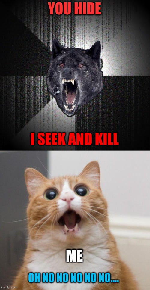 seek and Kill | YOU HIDE; I SEEK AND KILL; ME; OH NO NO NO NO NO.... | image tagged in memes,insanity wolf,scared cat | made w/ Imgflip meme maker