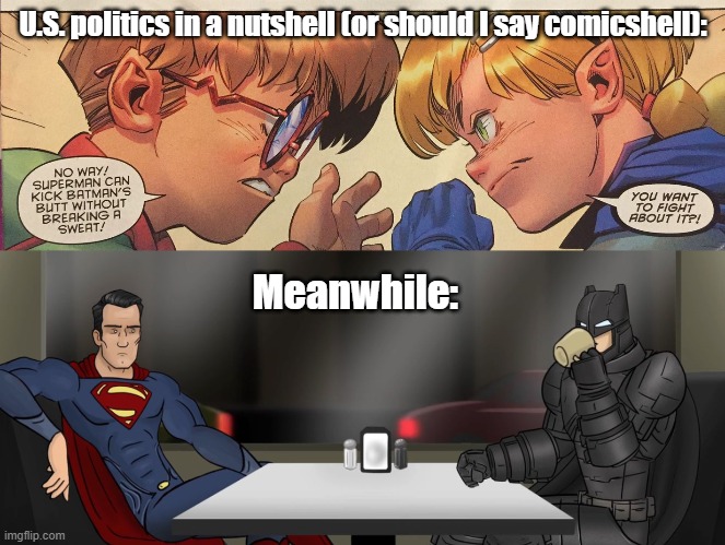 U.S Politics | U.S. politics in a nutshell (or should I say comicshell):; Meanwhile: | image tagged in batman vs superman,batman,superman | made w/ Imgflip meme maker