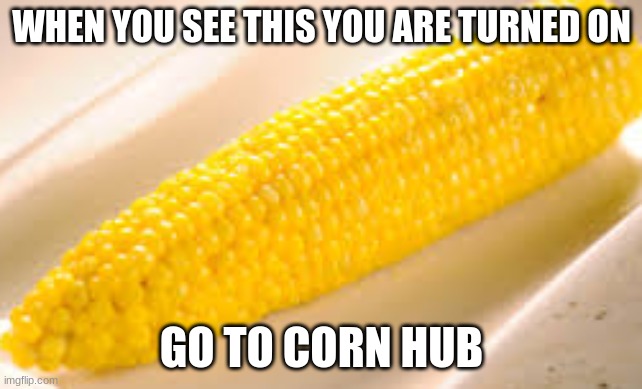 cornhub.com | WHEN YOU SEE THIS YOU ARE TURNED ON; GO TO CORN HUB | image tagged in corn | made w/ Imgflip meme maker