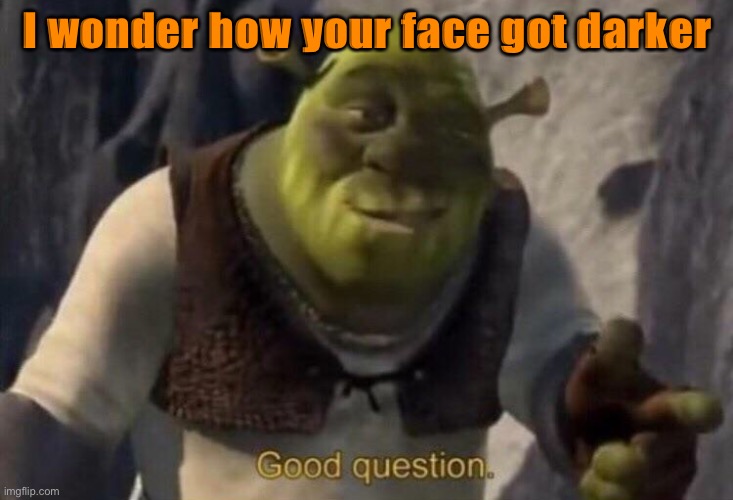Shrek good question | I wonder how your face got darker | image tagged in shrek good question | made w/ Imgflip meme maker