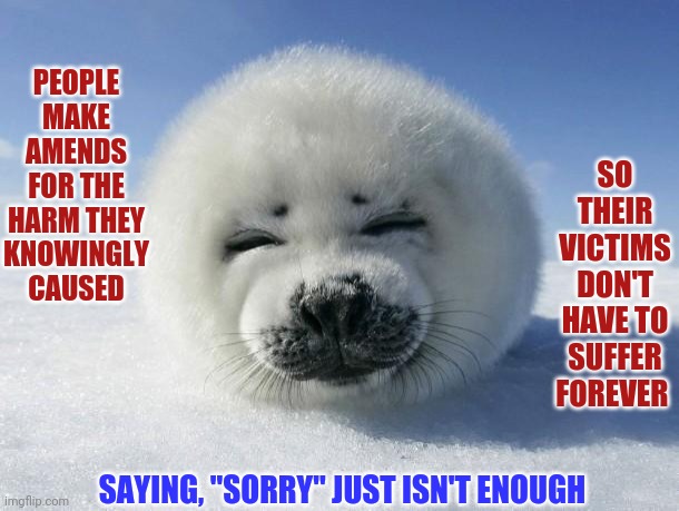 Do Something | SO THEIR VICTIMS DON'T HAVE TO SUFFER FOREVER; PEOPLE MAKE AMENDS FOR THE HARM THEY KNOWINGLY CAUSED; SAYING, "SORRY" JUST ISN'T ENOUGH | image tagged in seal of approval,memes,make amends,do the right thing,it's not all about you,it's the least you can do | made w/ Imgflip meme maker