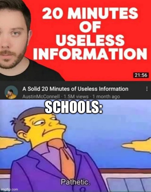 SCHOOLS: | image tagged in skinner pathetic | made w/ Imgflip meme maker